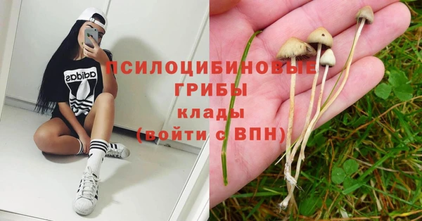 индика Сафоново