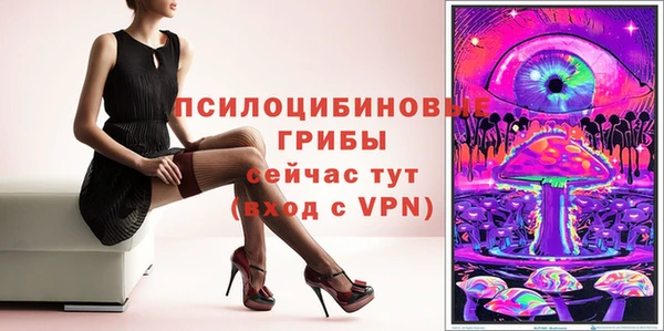 a pvp Алзамай